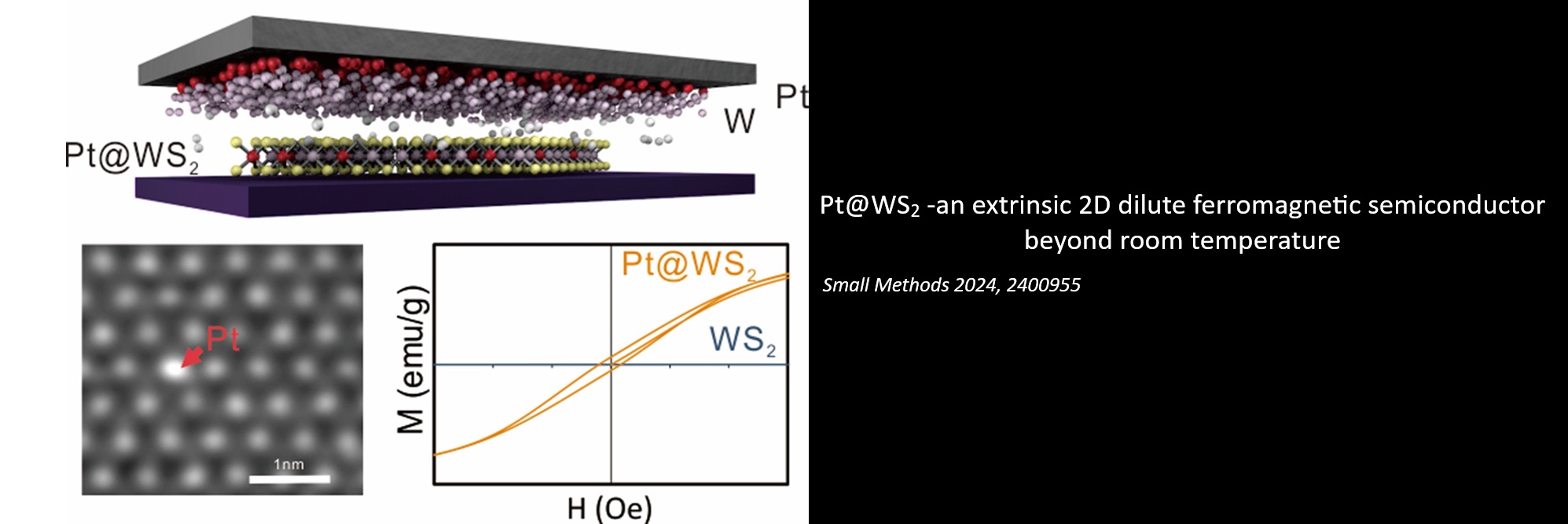 Pt@WS2 -an extrinsic 2D dilute ferromagnetic semiconductor beyond room temperature