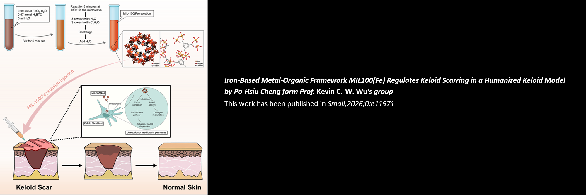 Iron-Based Metal-Organic Framework MIL100(Fe) Regulates Keloid Scarring in a Humanized Keloid Model