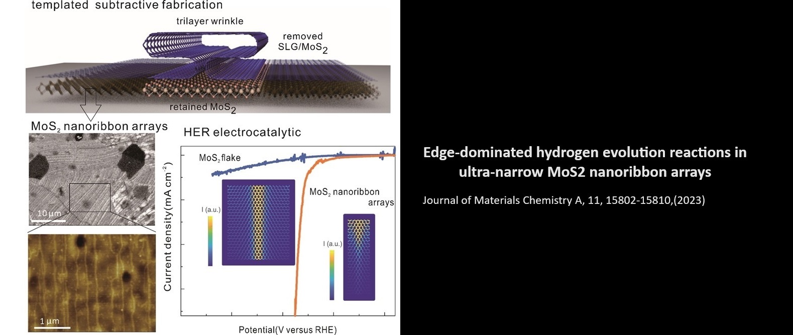 Edge-dominated hydrogen evolution reactions in ultra-narrow MoS2 nanoribbon arrays