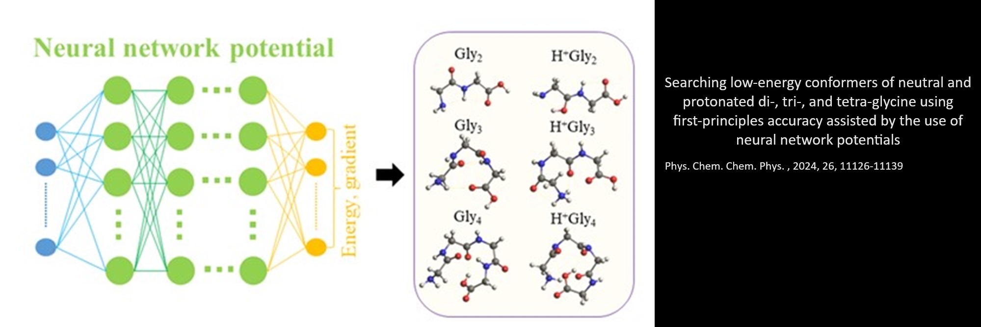 Searching low-energy conformers of neutral and protonated di-, tri-, and tetra-glycine using first-principles accuracy assisted by the use of neural network potentials